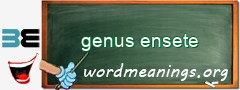 WordMeaning blackboard for genus ensete